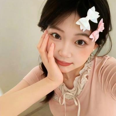 蓝徽特攻队